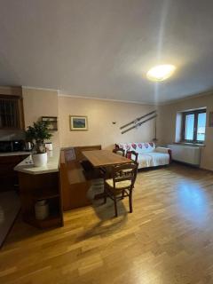 SASS MAOR 2 bedrooms apartment 80 sm Fiera di Primiero TN - Fiera di Primiero - 9
