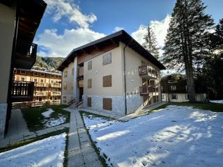 Trilocale Pineta - Serafini - Madonna di Campiglio - 1