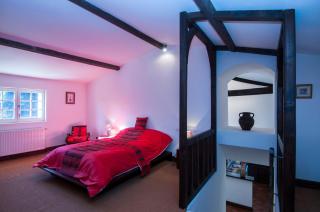 Luxury gite in Château Hostens-Picant vineyard - 9