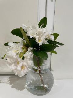 Entire Apartment Jardin du Luxembourg - 2