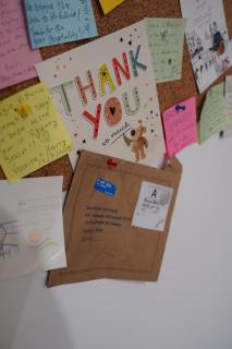 HOUSE OF SUN 2016 - 3