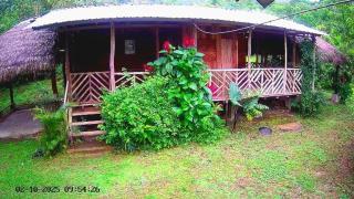 Rainforest Hut - Archidona - 1