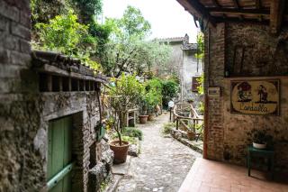 Il Mulino di Candalla - Camaiore - 5