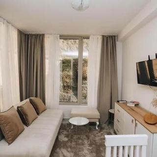 Rafailovici Srna Apartments - Rafailovici - 5