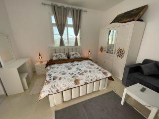 Luxurious and elegant house - 6