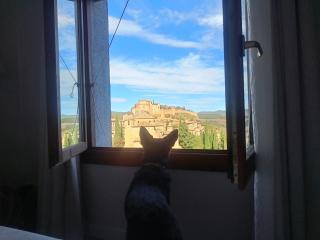 Hotel Santa Maria de Alquezar - Alquézar - 9