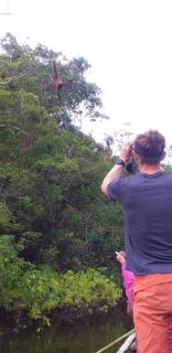 Camungo lodge in indigenous comiuniti - - 3