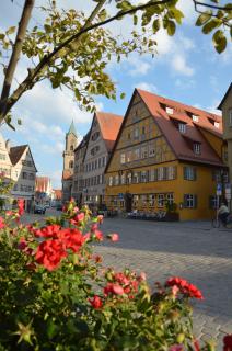 HOTEL & SPA Goldene Rose - 5