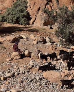 Dades mountain camp - Aït Oudinar - 6