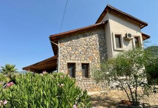 Villa Olive - 3