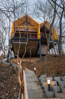 Erdei Szelencék - 3