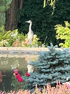 The Stables East Lodge Country House - Rowsley - 8