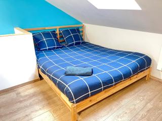 studio Buhler - Mulhouse centre - Mulhouse - 7