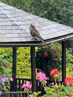 The Stables East Lodge Country House - Rowsley - 9