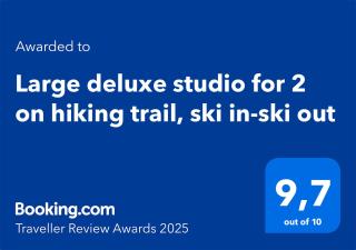 Large deluxe studio for 2 - Chalet Lovo - Lenk - 8
