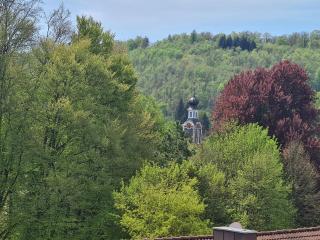 Villa in Adelsheim - Adelsheim - 5