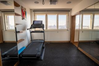 Luxury rooftop appartment with fantastic views - Prague - 7