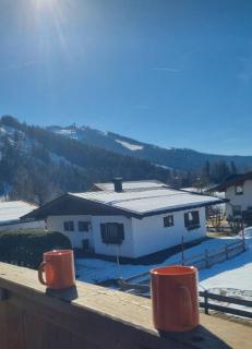 BIO Bauernhof GEISL - Sankt Ulrich am Pillersee - 2