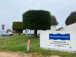 Maison 6 pers à 400 m de la plage avec wifi et piscine chauffée - Bretignolles-sur-Mer - 4