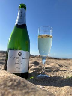 Los Locos Luxury - Torrevieja - 2