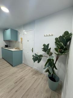 Oasis 29 - Las Palmas de Gran Canaria - 7