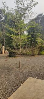 Quarto privativo rodeado pela natureza - América - Foz do Iguaçu - 7