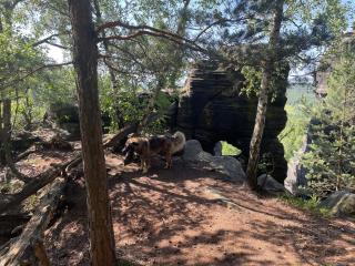 Fox House Tisá / Rájec - 1