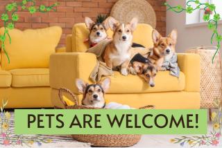 Pet Friendly! Hot Tub, 2mins from Main, Fire Pit - Fredericksburg - 2