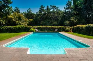 Spring Garden - Nairobi - 4
