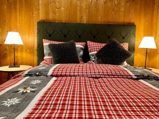 Gemütliches Alpen-Chalet auf 1600m Höhe - Malix - 6