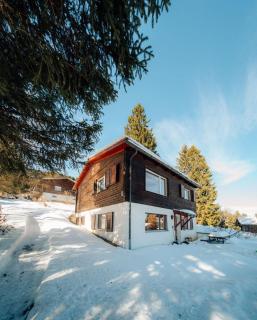 Gemütliches Alpen-Chalet auf 1600m Höhe - Malix - 3