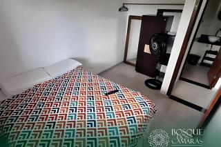 Bosque Aldeia dos Camarás - 7