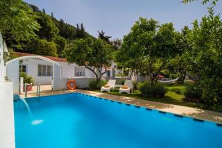 Moderne, Stilvolle Ferienvilla Amelie - Ialyssos - 0