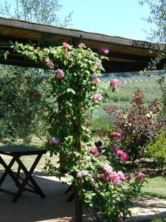 Wohnung Mit Garten In Barberino Tavarnelle - San Donato in Poggio - 9