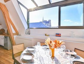 Appartement centre-ville Reims vue Cathédrale - Reims - 8