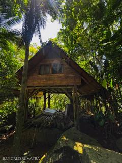 Sitio Simple Life - Ubatuba - 9