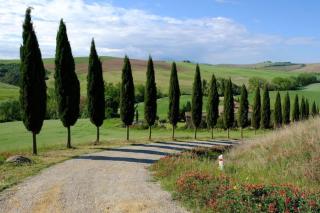Villa La memoria del tempo - Montalcino - 9
