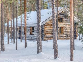 Holiday Home Rukanlumous 1 by Interhome - Ruka - 9