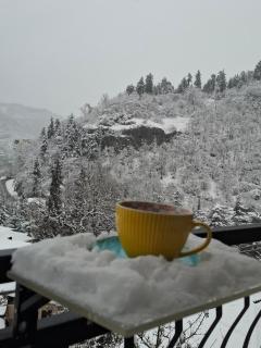 Borjomi Nest 1 - Borjomi - 7