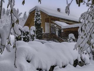 Holiday Home Reiter by Interhome - 9