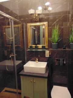 Apartament przy ratuszu - Zielona Góra - 1