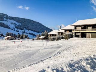 Apartment Les Bluets by Interhome - 0