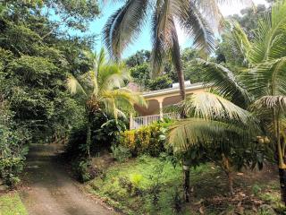 Martinique La petite maison dans la Colline - Le Lamentin - 9