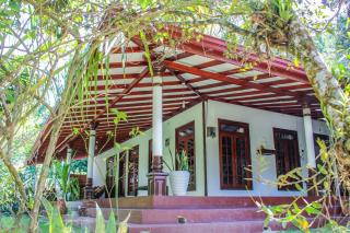Lavender Homestay - Ella - 3