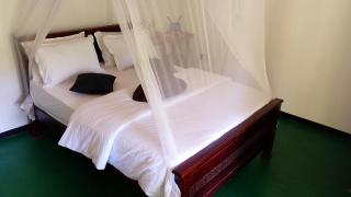 Ella Jungle Cottage - 8