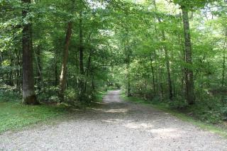 Bear Hollow - 7