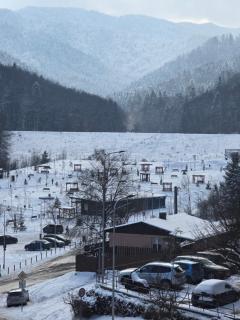 Tampa Gardens Apartment - 9