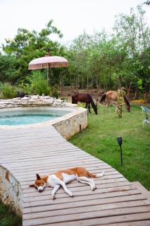 Le Lodge des papillons - Case Union - Rufisque - 7