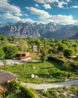 Lchang Nang Retreat-THE HOUSE OF TREES-Nubra Valley - 9