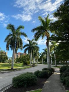 Beautiful Marina View - Cape Coral - 3
